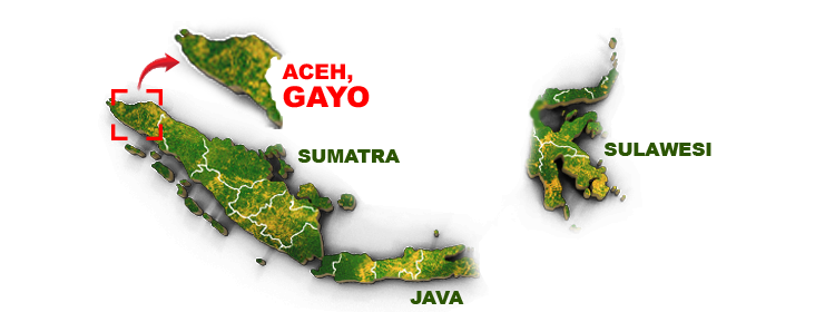 Peta wilayah penanaman nilam di Indonesia